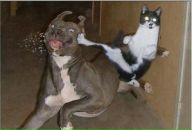 Фотография Коноваловой Любови