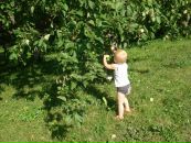 Ігор Білоус фотография #48 (источник - https://vk.com/id65500426)