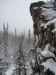  фотография #29