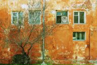 Константин Важенин фотография #45 (источник - https://vk.com/id3075757)