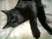 Фотография Головкина Андрея