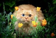 Фотография Петровой Надежды