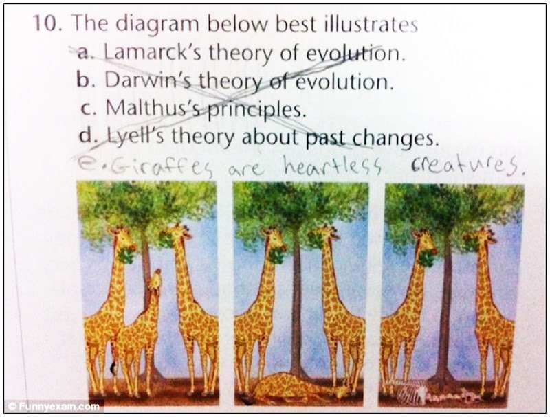 Стёпа Тимофеев фотография #26