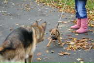 Фотография Кларк Марины