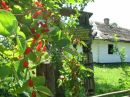 Андрій Андрієвський фотография #41 (источник - https://vk.com/id79048892)