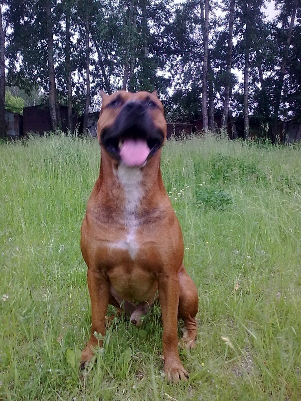 Михаил Сидоров фотография #17