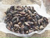 Олексій Афанасьєв фотография #39 (источник - https://vk.com/id16549657)