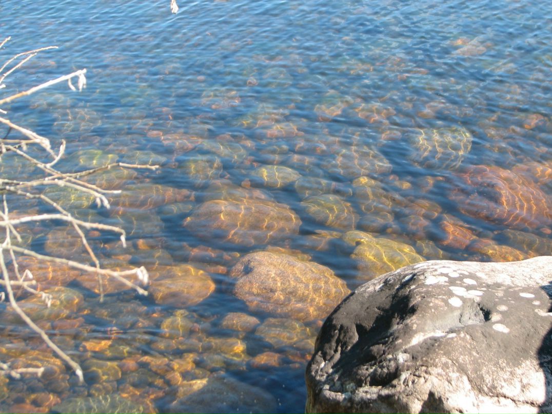 Николай Савельев фотография #19