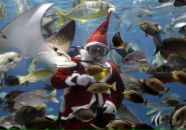 Фотография Сафроновой Ольги