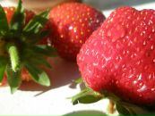 Фотография Дегтяревой Татьяны