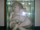 Фотография Таранина Алексея