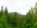 Андрій Бусько фотография #30 (источник - https://vk.com/id140078820)