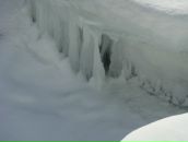 Лєна Пєвнік фотография #21 (источник - https://vk.com/id12576139)