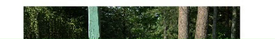 Юлічка Колінчук фотография #17 (источник - https://vk.com/id74277339)