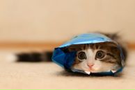 Антон Пилипенко фотография #23 (источник - https://vk.com/id2664302)