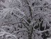 Назарій Олексюк фотография #38 (источник - https://vk.com/id150377446)