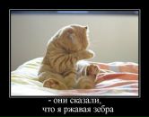 Фотография Ивановой Марии