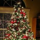 Любомир Григорів фотография #16 (источник - https://vk.com/id28454859)