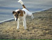 Фотография Терлецкого Елисея