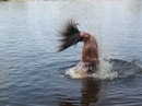 Фотография Сапожникова Владимира