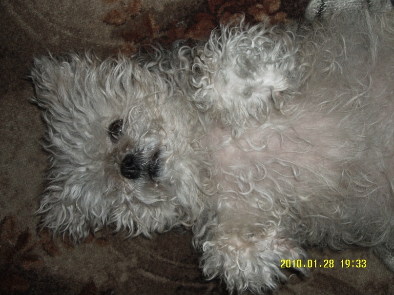 Иван Рамус фотография #25