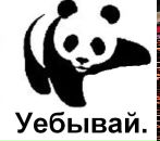 Денис Потанин фотография #22 (источник - https://vk.com/id7607243)