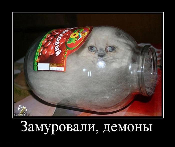 Денис Волков фотография #47