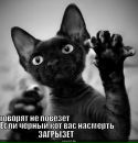 Фотография Гиззатуллиной Зарины