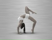 Фотография Удод Вики