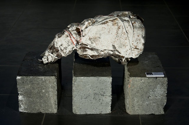 Лейли Асланова фотография #15