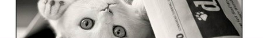 Уляна Гапук фотография #42 (источник - https://vk.com/id6604501)