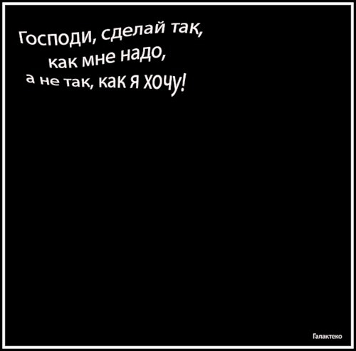 №12, Алексей Соколов, 37 лет, Новочеркасск №12, Алексей Соколов, 37 лет, Новочеркасск