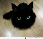 Андріана Полухіна фотография #42 (источник - https://vk.com/id4250149)