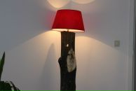 Марк Луценко фотография #38 (источник - https://vk.com/id178658)