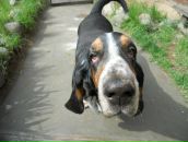 Фотография Дуглас Милы