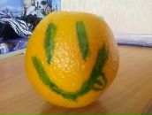 Печенька ^_^ фотография #12 (источник - https://vk.com/id134545730)