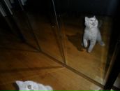 Анна Хоменко фотография #17 (источник - https://vk.com/id3696749)