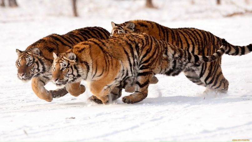 Кирюша Горбачев фотография #50