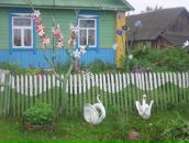 Фотография  