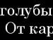 Міша Бурдяк фотография #9 (источник - https://vk.com/id25539971)