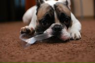 Фотография Косилиной Александры