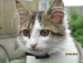 Фотография Удалённая Работы Ольги Абдулкины