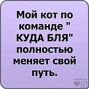 Артем Пасічник фотография #29 (источник - https://vk.com/id94211400)