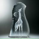 Фотография Киликиевского Игоря