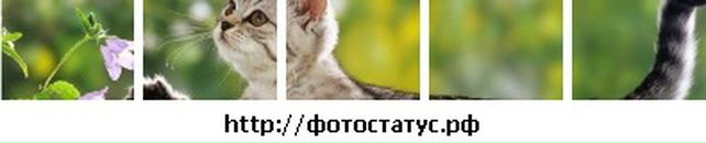 Ольчік Позетіффф фотография #2 (источник - https://vk.com/id33643448)