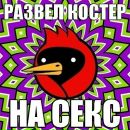 Слава Мацвей фотография #32 (источник - https://vk.com/id18350720)