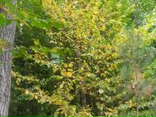 Віталій Панасюк фотография #35 (источник - https://vk.com/id67183575)