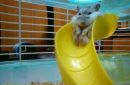 Альона Павліченко фотография #47 (источник - https://vk.com/id61977567)
