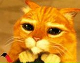 Олексій Радич фотография #42 (источник - https://vk.com/id131018157)