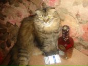 Фотография Царанкова Дениса